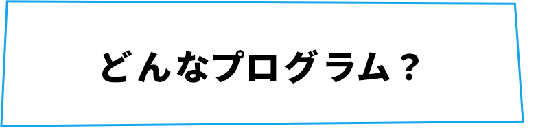 どんなプログラム？