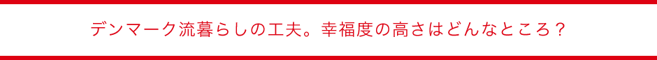 �f���}�[�N����炵�̍H�v�B�K���x�̍����͂ǂ�ȂƂ���H