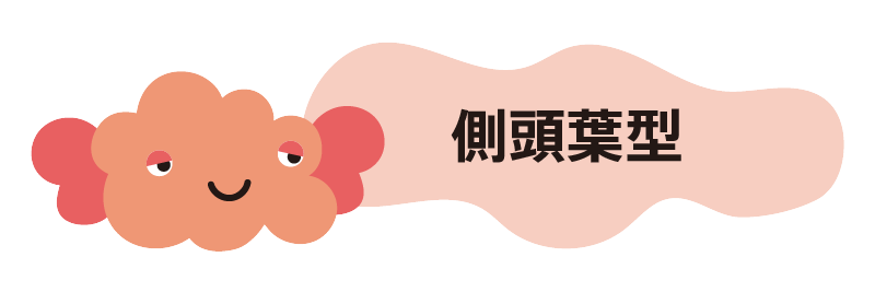 �����t�^�C�v