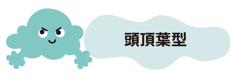 �����t�^�C�v