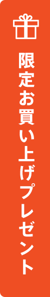 �������グ�v���[���g